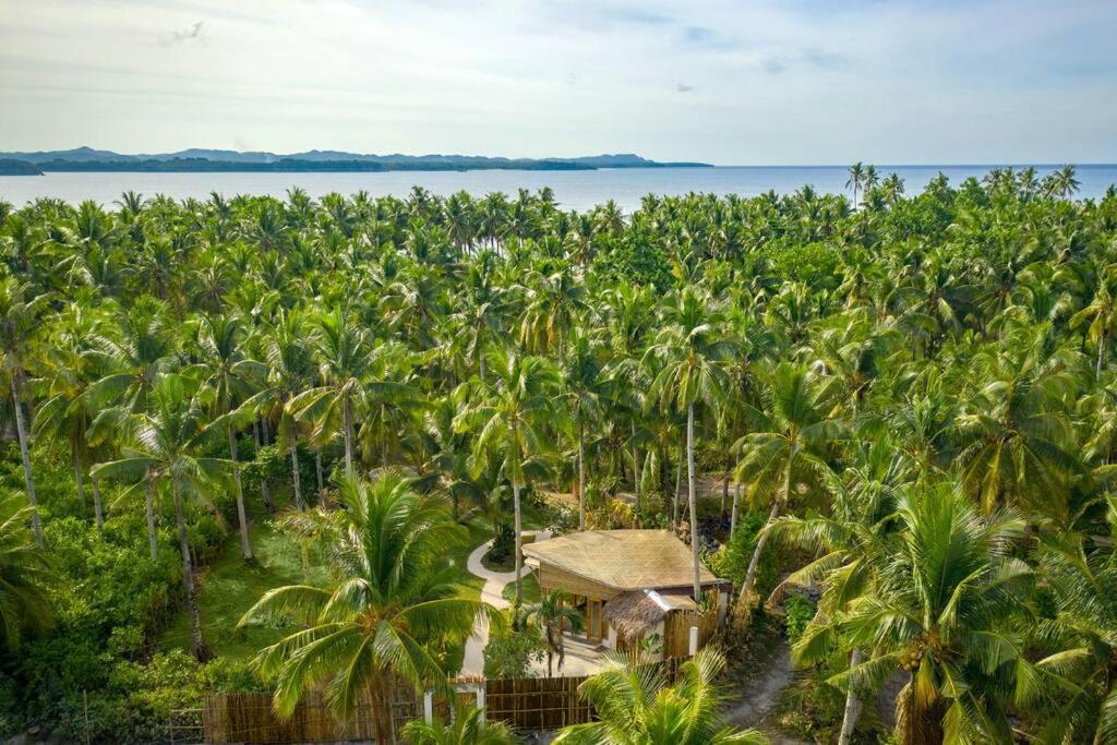 The Bamboo Houses - Tropical Garden & Empty Beach General Luna  Exteriér fotografie